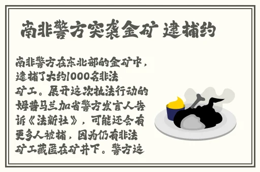 极品**系列 合集